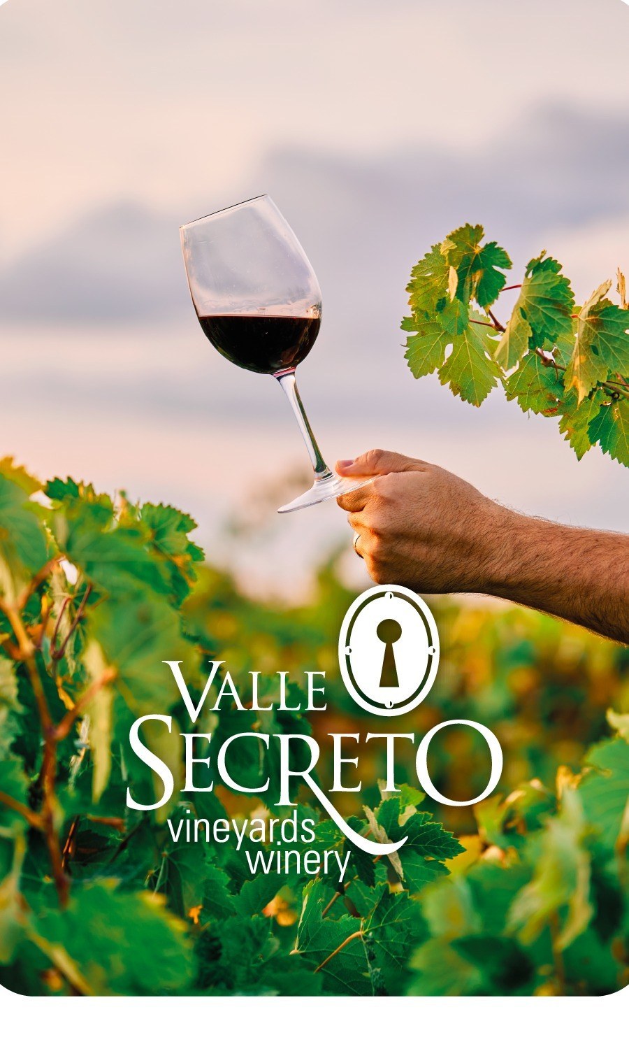 Valle Secreto Vineyards & Winery