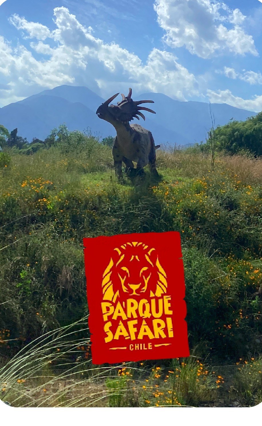 Parque Safari