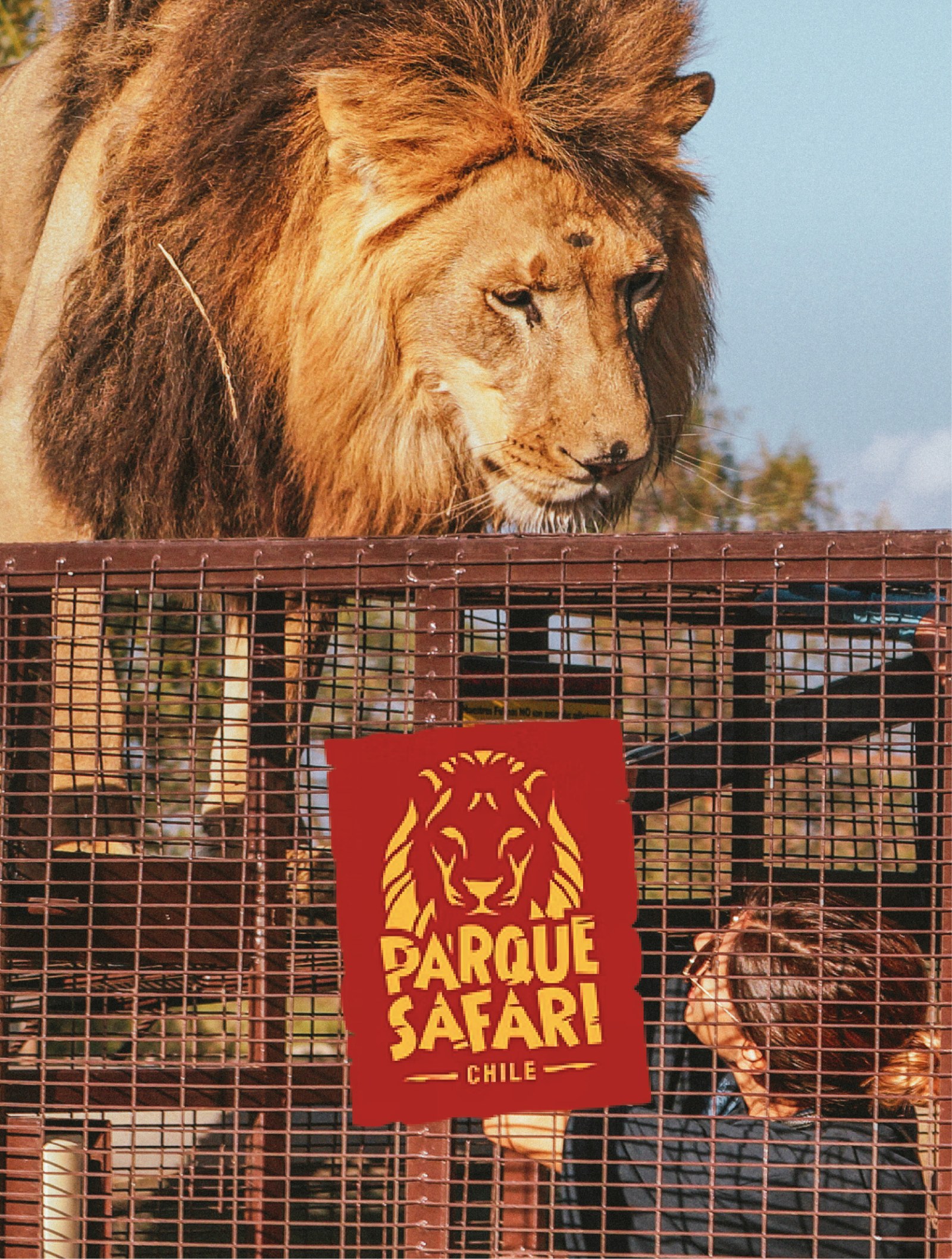 Parque Safari